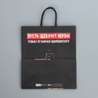 Пакет подарочный новогодний крафтовый «Шампанское», 28 х 32 х 15 см, Новый год Пакет подарочный новогодний крафтовый «Шампанское», 28 х 32 х 15 см, Новый год