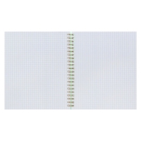 Тетрадь на гребне A5 96 листов в клетку Calligrata Зелёная, пластиковая обложка, блок офсет