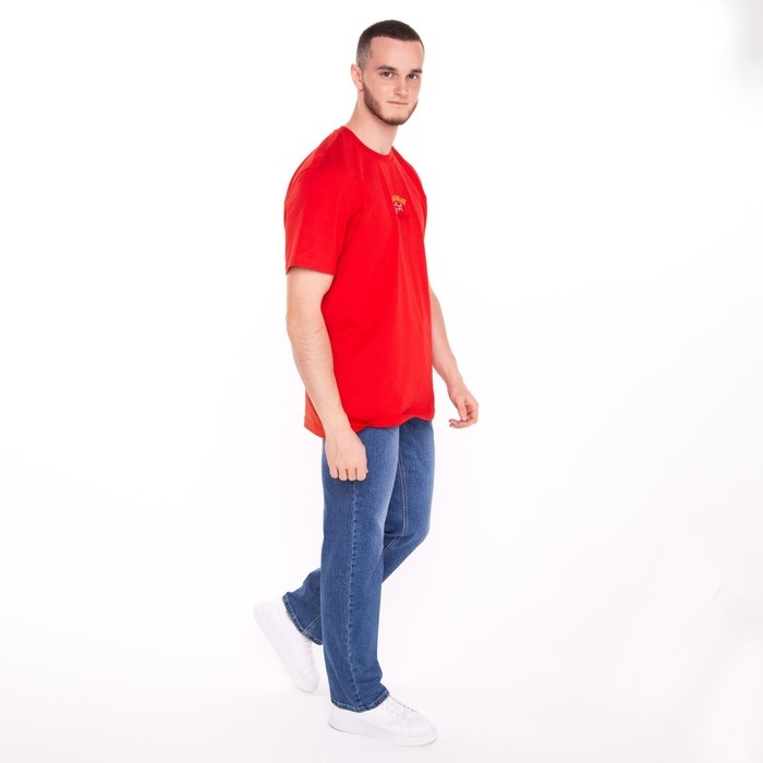 Джинсы мужские, цвет синий, размер 33 (48-50)