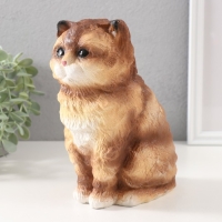 Копилка "Котенок Василий" 19 х 11 х 14 см. Копилка "Котенок Василий" 19 х 11 х 14 см.