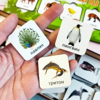 Игра на логику «Кто-то лишний» Игра на логику «Кто-то лишний»