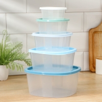 Набор пищевых контейнеров «BioFresh», 5 шт: 0,23 л, 0,5 л, 0,9 л, 1,55 л, 2,65 л, прозрачные, крышки микс Набор пищевых контейнеров «BioFresh», 5 шт: 0,23 л, 0,5 л, 0,9 л, 1,55 л, 2,65 л, прозрачные, крышки микс