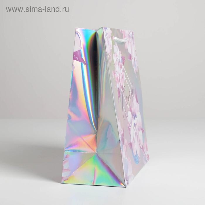 Пакет подарочный голографический, упаковка, &laquo;Сияй&raquo;, 23 х 27 х 11,5 см
