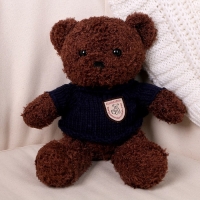 Мягкая игрушка &laquo;Медведь&raquo; в кофте, 28 см, цвет МИКС