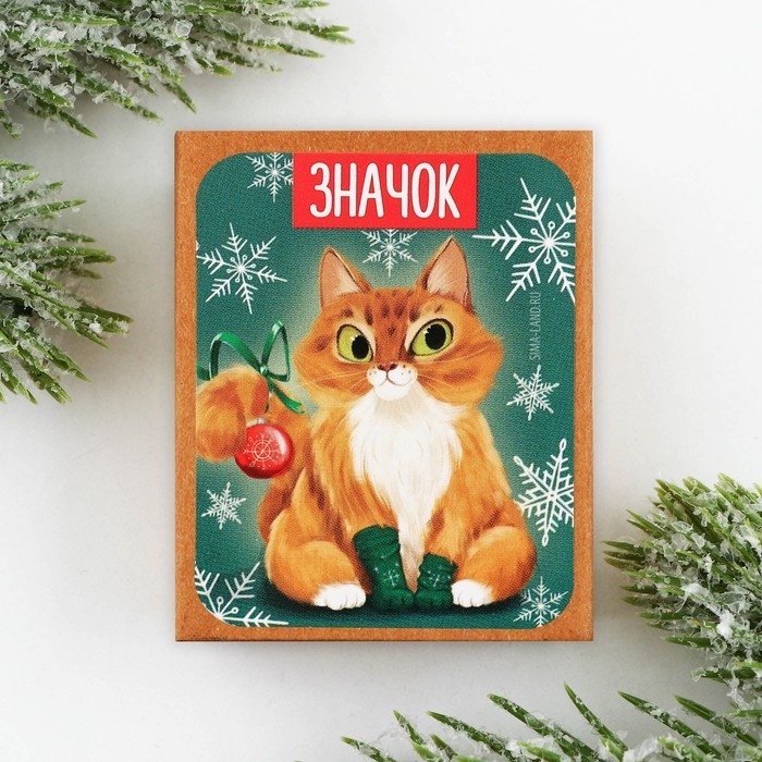 Значок новогодний в коробочке &laquo;Кот&raquo; 3 х 3,3 см