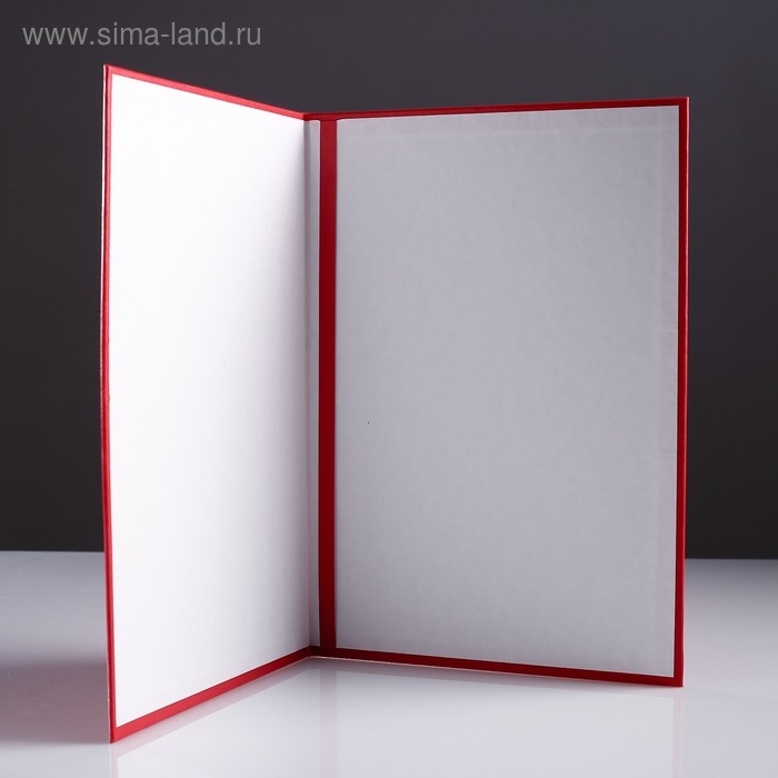 Папка адресная Папка адресная "На подпись" бумвинил, мягкая, красный, А4