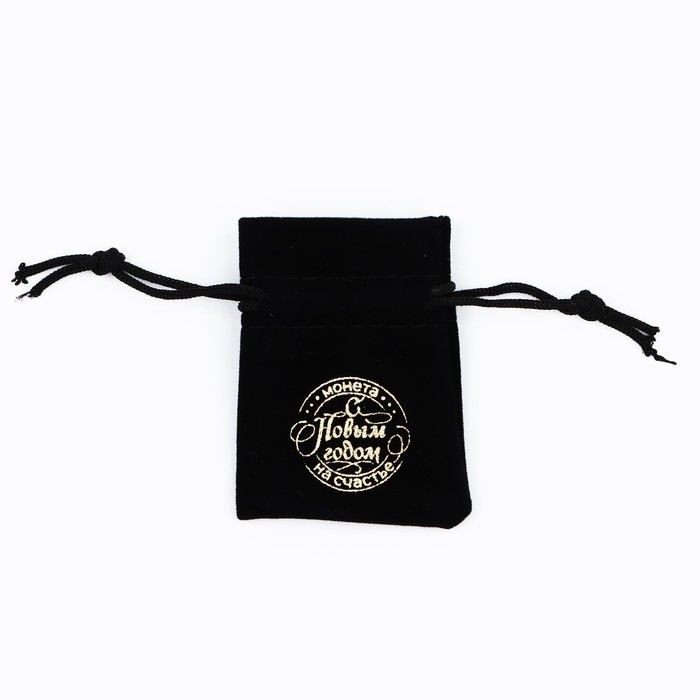 Монета в мешочке новогодняя &laquo;2025&raquo; на Новый год, диам. 2.5 см