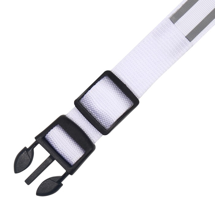 Ошейник с подсветкой Двойная полоса размер S, ОШ 35-43 х 2,5 см, 3 режима свечения белый Ошейник с подсветкой Двойная полоса размер S, ОШ 35-43 х 2,5 см, 3 режима свечения белый