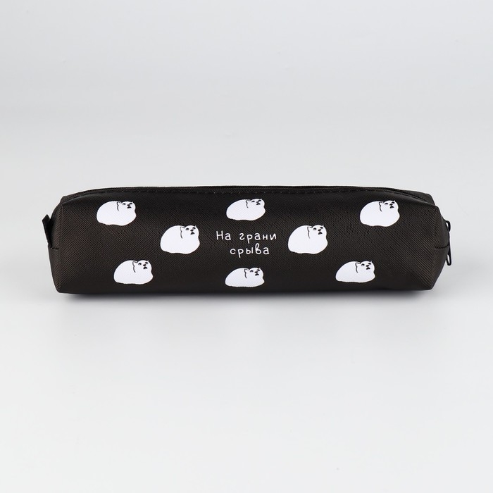 Пенал школьный из искусственной кожи &laquo;1 сентября: На грани срыва&raquo; , 19 х 8 х 3 см