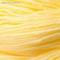 Пряжа "Карачаевская" 100% акрил 820-850м/250-280гр (24 Шампанское)