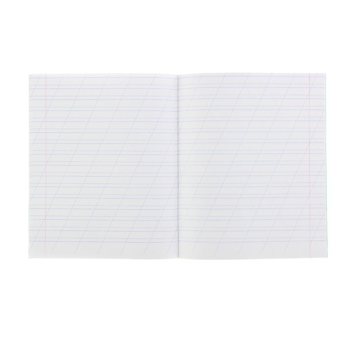 Комплект тетрадей из 20 штук, 12 листов в косую линию КПК Комплект тетрадей из 20 штук, 12 листов в косую линию КПК "Зёленая обложка", блок офсет, белизна 90%