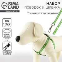 Комплект «Пора гулять», шлейка 24-34 см, поводок 120х1 см Комплект «Пора гулять», шлейка 24-34 см, поводок 120х1 см