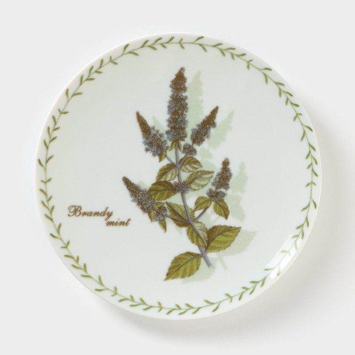 Тарелка фарфоровая &laquo;Ботаника. Мята&raquo;, d=20 см, цвет белый