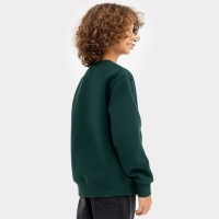 Свитшот для мальчика, НАЧЁС, цвет пихта, рост 98-104 см Свитшот для мальчика, НАЧЁС, цвет пихта, рост 98-104 см