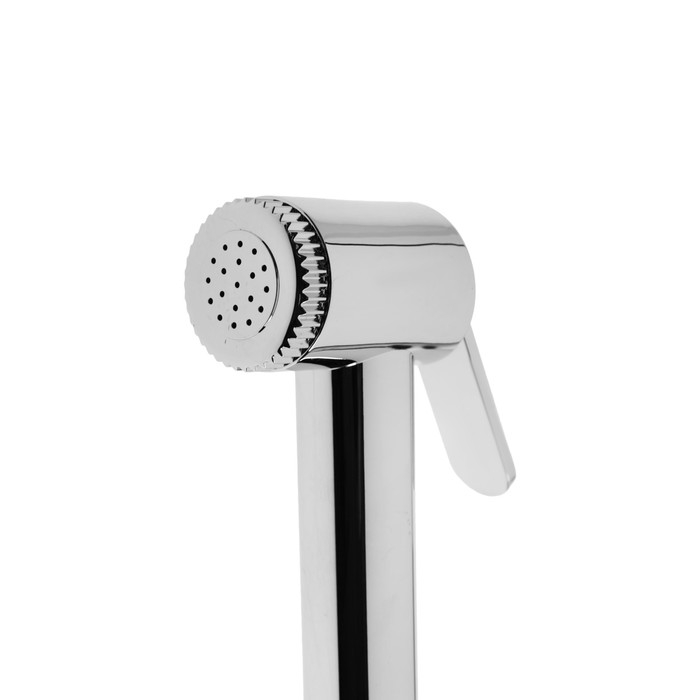 Набор для гигиенического душа с аэратором-переключателем (лейка, шланг и держатель) Accoona Набор для гигиенического душа с аэратором-переключателем (лейка, шланг и держатель) Accoona