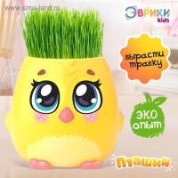 Набор для опытов &laquo;Пташки, выращиваем травку&raquo;, жёлтый горшочек