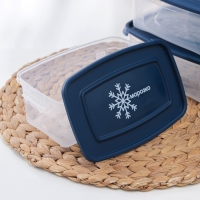 Набор прямоугольных контейнеров для замораживания продуктов &laquo;Морозко&raquo;, 1 л , 3 шт, прозрачные, крышки микс