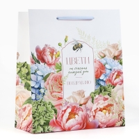 Пакет ламинированный «Цвети», ML 23 х 27 х 11.5 см Пакет ламинированный «Цвети», ML 23 х 27 х 11.5 см