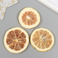 Декор для творчества "Сушеные лимоны" цвет жёлтый, 5 см (набор 3 шт) Декор для творчества "Сушеные лимоны" цвет жёлтый, 5 см (набор 3 шт)