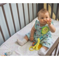 Растяжка - погремушка мягкая на кроватку/коляску &laquo;Авокадо&raquo;, Крошка Я