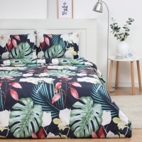 Постельное бельё Экономь и Я евро Magical tropics 200*215см,200*215см,50*70см-2 шт, полисатин, 80 г/м&sup2;