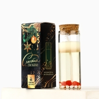 Новогодняя свеча в колбе «Новый год:Жемчужина» Новогодняя свеча в колбе «Новый год:Жемчужина»