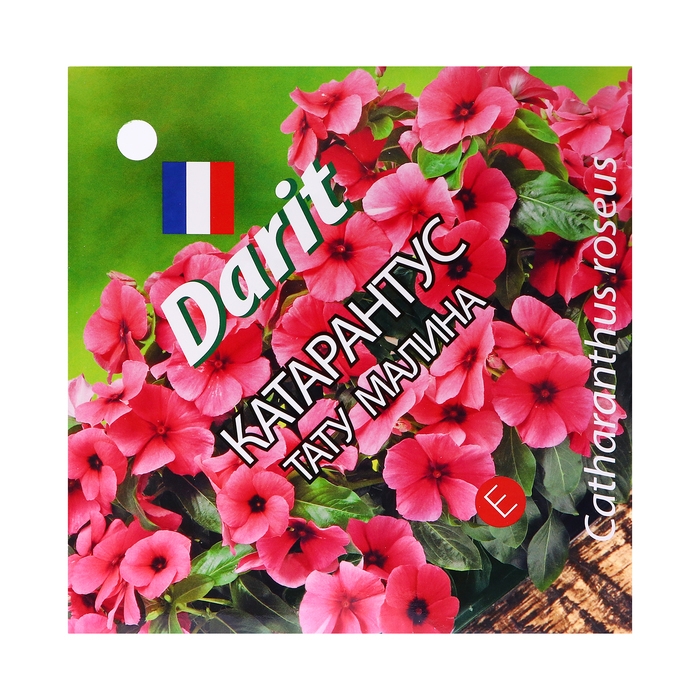 Семена цветов Катарантус Семена цветов Катарантус "Тату Малина", 7 шт