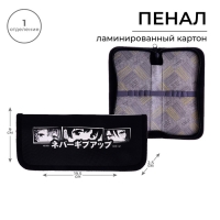 Пенал 1 секция, 90 х 195 х 25 мм, Calligrata "Аниме", ламинированный картон Пенал 1 секция, 90 х 195 х 25 мм, Calligrata "Аниме", ламинированный картон