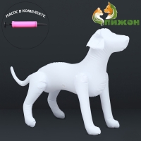 Набор: манекен надувной (белый) с насосом ручным (микс)