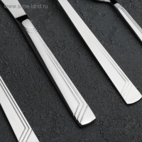 Набор столовый &laquo;Аппетит&raquo;, 48 предметов, толщина 2 мм, декоративная коробка