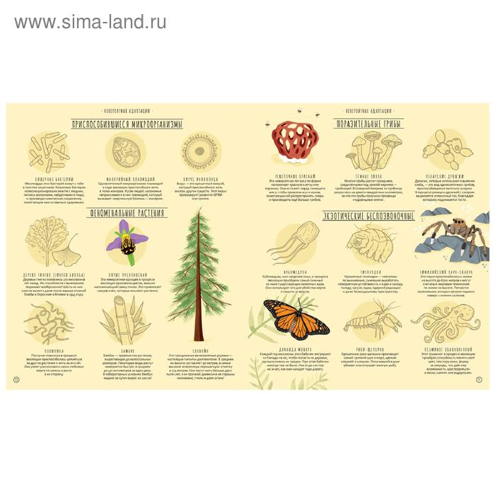 Чудеса эволюции. Путешествие во времени, Клейбурн А. Чудеса эволюции. Путешествие во времени, Клейбурн А.