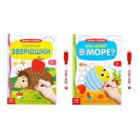 Набор многоразовых книг с маркером &laquo;Напиши и сотри. Развиваем мелкую моторику&raquo;, 2 шт. по 12 стр.