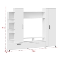 Гостиная Дакота, 2364х362х1872, Белый ясень