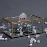 Органайзер для хранения &laquo;MOUNTAINS&raquo;, с крышкой, стеклянный, с зеркальным дном, 1 секция, 14,5 &times; 8,5 &times; 6 см, цвет прозрачный/медный