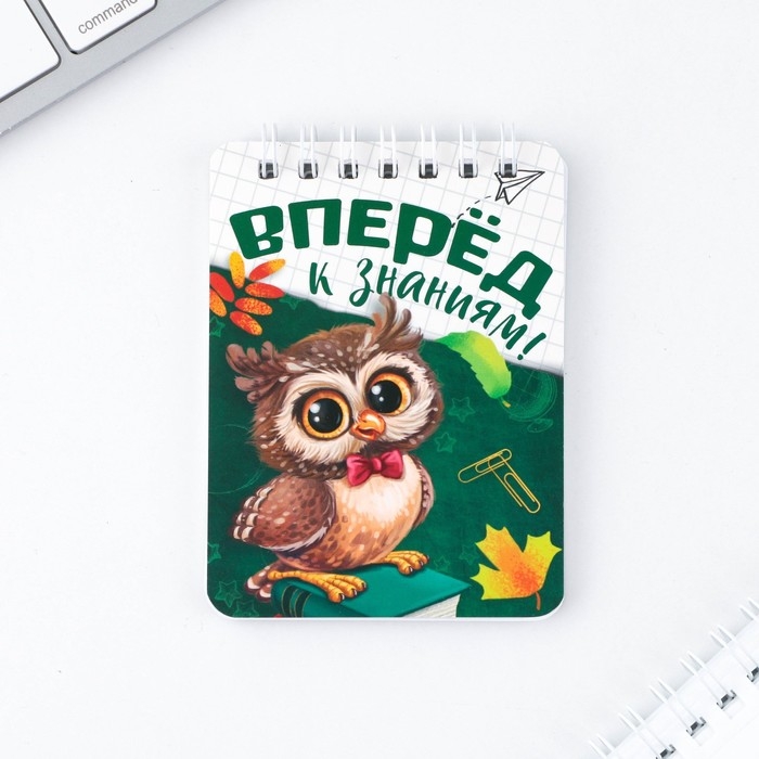 Подарочный набор на выпускной &laquo;Вперёд к знаниям!&raquo; ластики 2 шт, карандаши HB 2 шт, блокнот А7