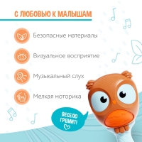 Погремушка с прорезывателем для зубов «Совушка», 2 в 1 Погремушка с прорезывателем для зубов «Совушка», 2 в 1