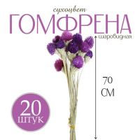 Сухоцвет &laquo;Гомфрена шаровидная&raquo; набор 20 шт., цвет тёмно-фиолетовый