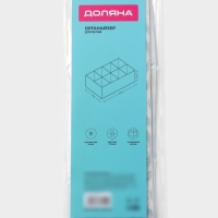 Органайзер для хранения белья Доляна «Лагуна», 8 ячеек, 28×14×10 см, цвет бирюзовый Органайзер для хранения белья Доляна «Лагуна», 8 ячеек, 28×14×10 см, цвет бирюзовый