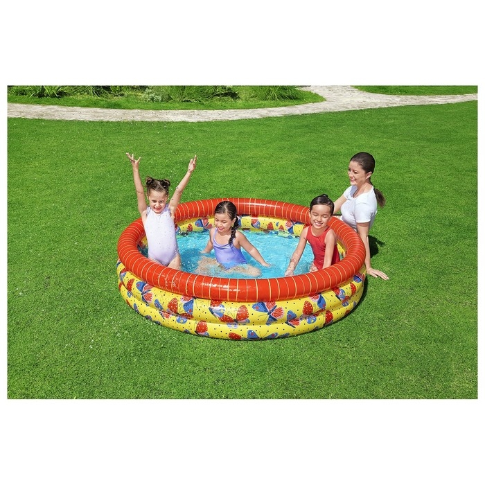 Бассейн надувной &laquo;Бабочка&raquo;, 168 х 38 см, 51202