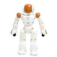 Робот «Хантер», радиоуправляемый, световые и звуковые эффекты, работает от аккумулятора, цвет оранжевый Робот «Хантер», радиоуправляемый, световые и звуковые эффекты, работает от аккумулятора, цвет оранжевый