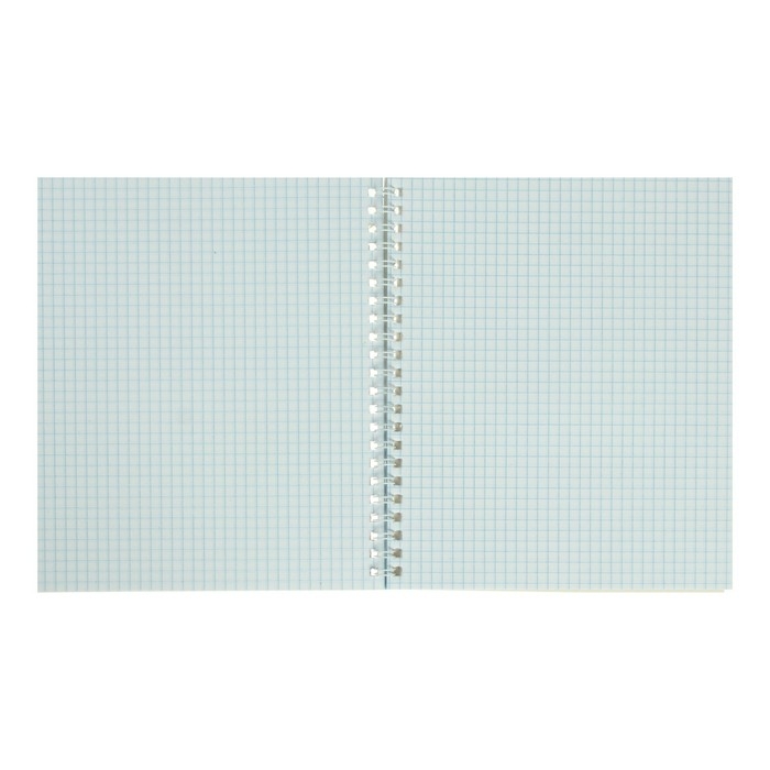 Тетрадь А5+, 48 листов в клетку, на гребне Тетрадь А5+, 48 листов в клетку, на гребне "Котята мур-мур", обложка мелованный картон, глянцевая ламинация, МИКС