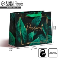 Пакет подарочный ламинированный горизонтальный, упаковка, &laquo;Present for you&raquo;, ML 27 х 23 х 11,5 см