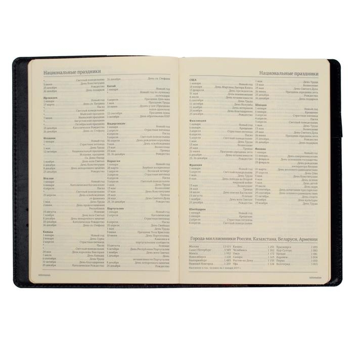 Ежедневник полудатированный А5, 208 листов Profy, рециклированная кожа, сменный блок, золотой срез, чёрный