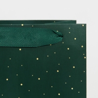 Пакет под бутылку &laquo;Тепла и уюта&raquo;, 13 х 36 х 10 см, Новый год