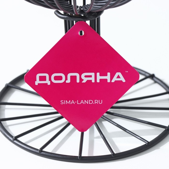 Фруктовница Доляна &laquo;Эстетика&raquo;, 18&times;18&times;23 см, чёрный