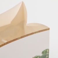 Пакет-коробка &laquo;Подарок для тебя&raquo;, 23 х 18 х 11 см, Новый год