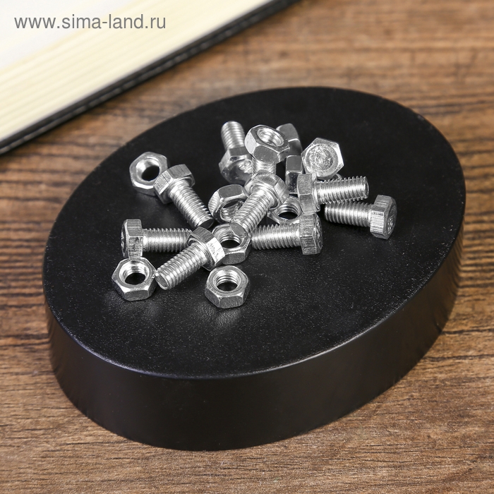 Головоломка магнитная "Болты"