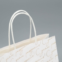 Пакет подарочный крафтовый, упаковка, &laquo;С днём рождения&raquo;, 22 х 25 х 12 см