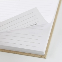 Ежедневник «Товарищ, мысль свою запиши, план выполни» А5, 80 листов Ежедневник «Товарищ, мысль свою запиши, план выполни» А5, 80 листов