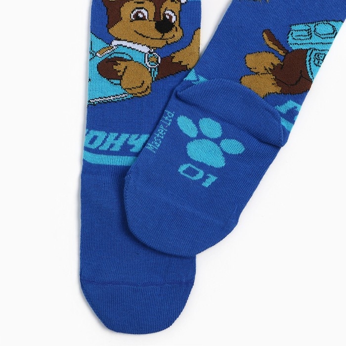 Колготки PAW PATROL &laquo;Гончик&raquo;, цвет синий, 98-104 см